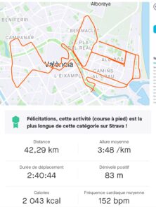 Statistiques Strava marathon Valence