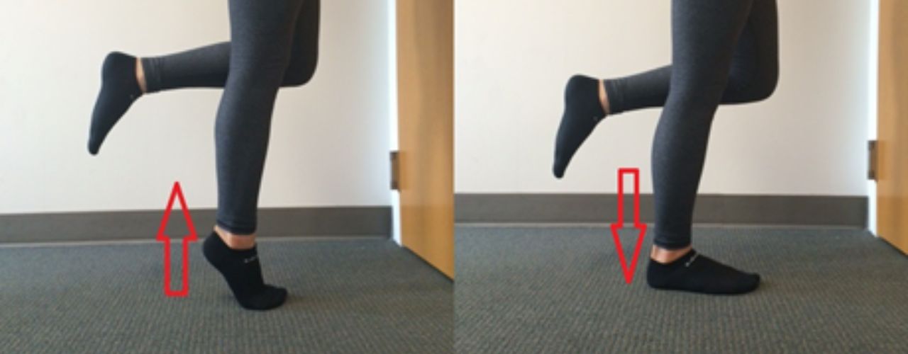 Le travail du pied et de la cheville pour l'économie de course : courir plus vite et plus longtemps