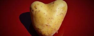 Est-ce que la pomme de terre peut remplacer les gels énergétiques pour la ravitaillement en compétition ?