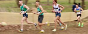 Cross-country Versus Trail : Quelles différences ?