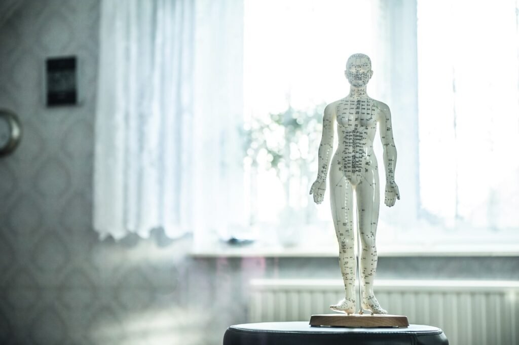 Statue corps humain anatomie