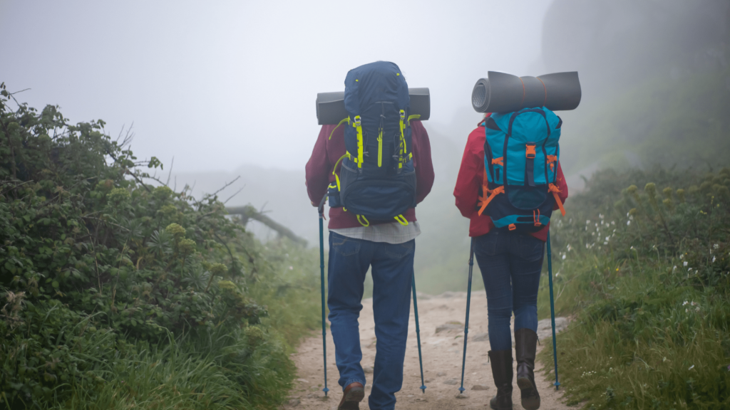 2 personnes vue de dos en montagne dont du trek