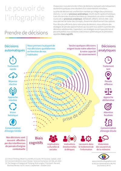 Infographie biais cognitifs