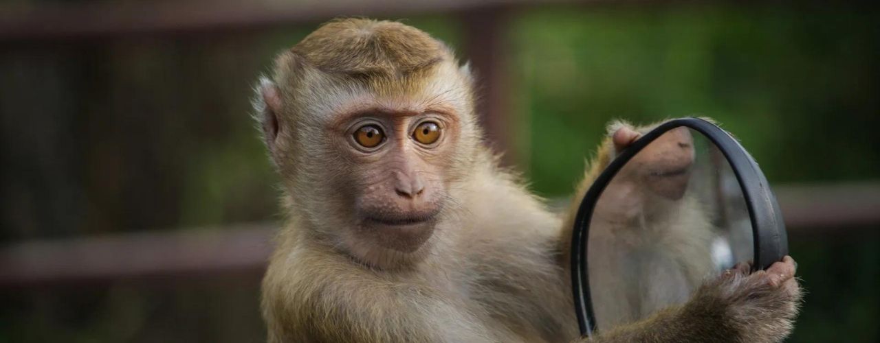 Syndrome de l’imposteur : 5 manières d’en finir avec les croyances limitantes