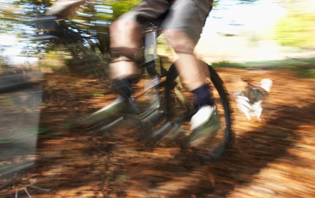 Un cycliste se fait poursuivre par un chien