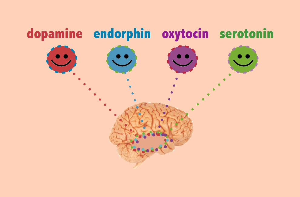 Hormones du bonheur - dopamine, endorphine, ocytocine, sérotonine