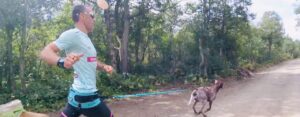 Canicross : ce qu'il faut savoir pour courir avec son chien