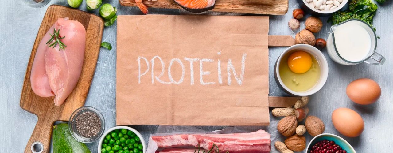 Top 14 des meilleurs aliments riches en protéines