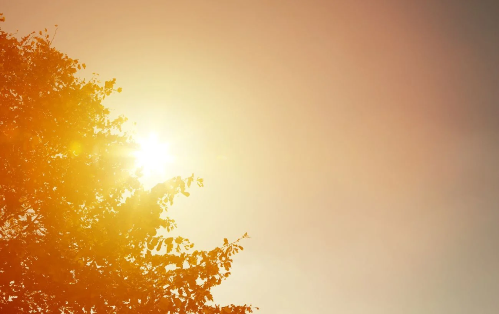 Quand fait-il trop chaud pour courir à l'extérieur ? + 8 conseils pour courir sous la chaleur