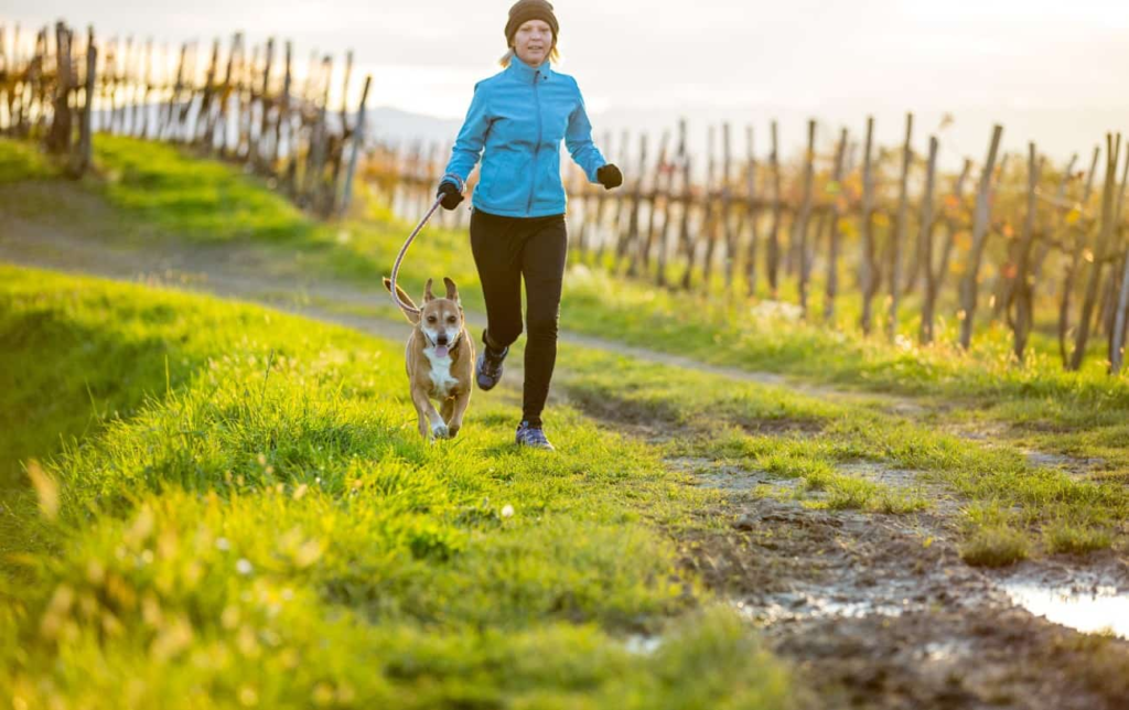 La course à pied est bonne pour votre chien