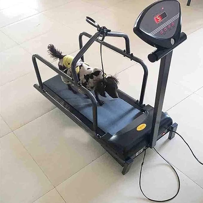 Le plus robuste : Tapis roulant PIMRRU