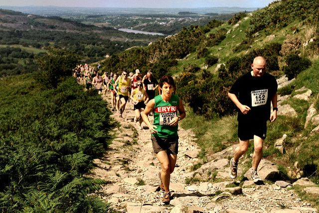12 choses à savoir sur les mitochondries qui pourraient changer votre entrainement running