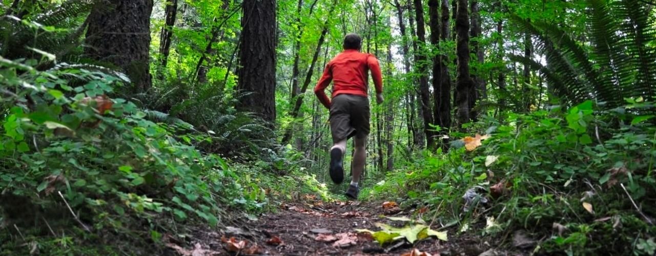 De la route au trail : 8 conseils utiles pour amorcer la transition !