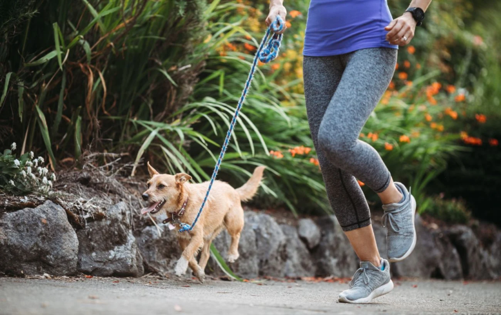 Faut-il courir la veille d'une course ? + Les meilleures types de séances en fonction de la distance