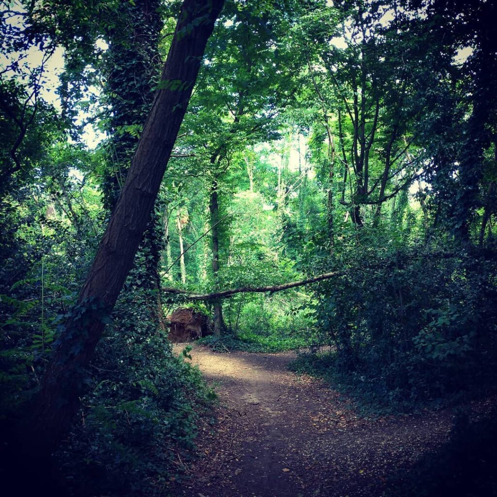 Bois de Burck (Mérignac)