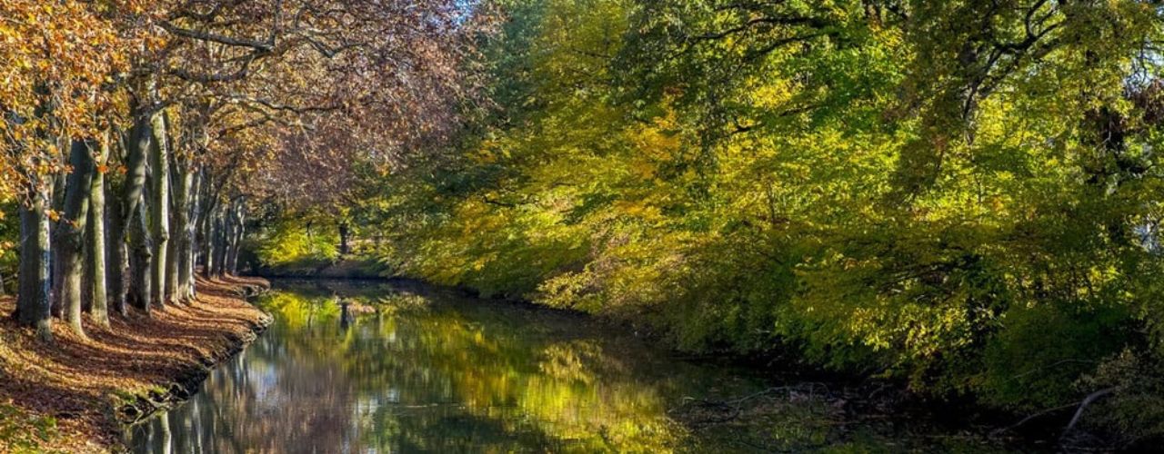 Où courir à Toulouse ? Top 5 des meilleurs endroits