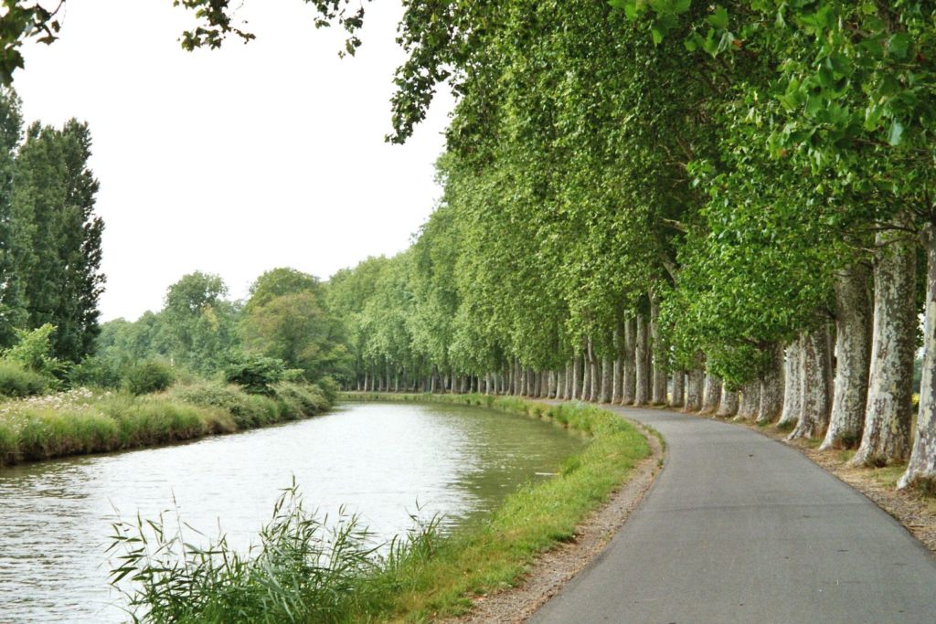 Canal du midi Toulouse