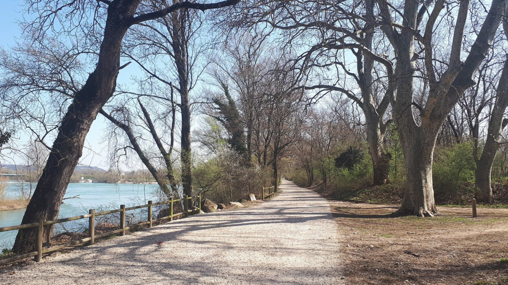 Parc de la Feyssine Lyon