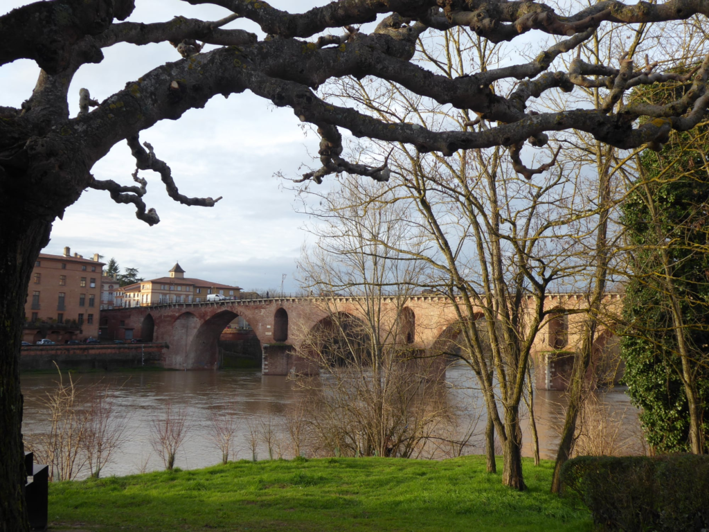 Les berges du Tescou Montauban