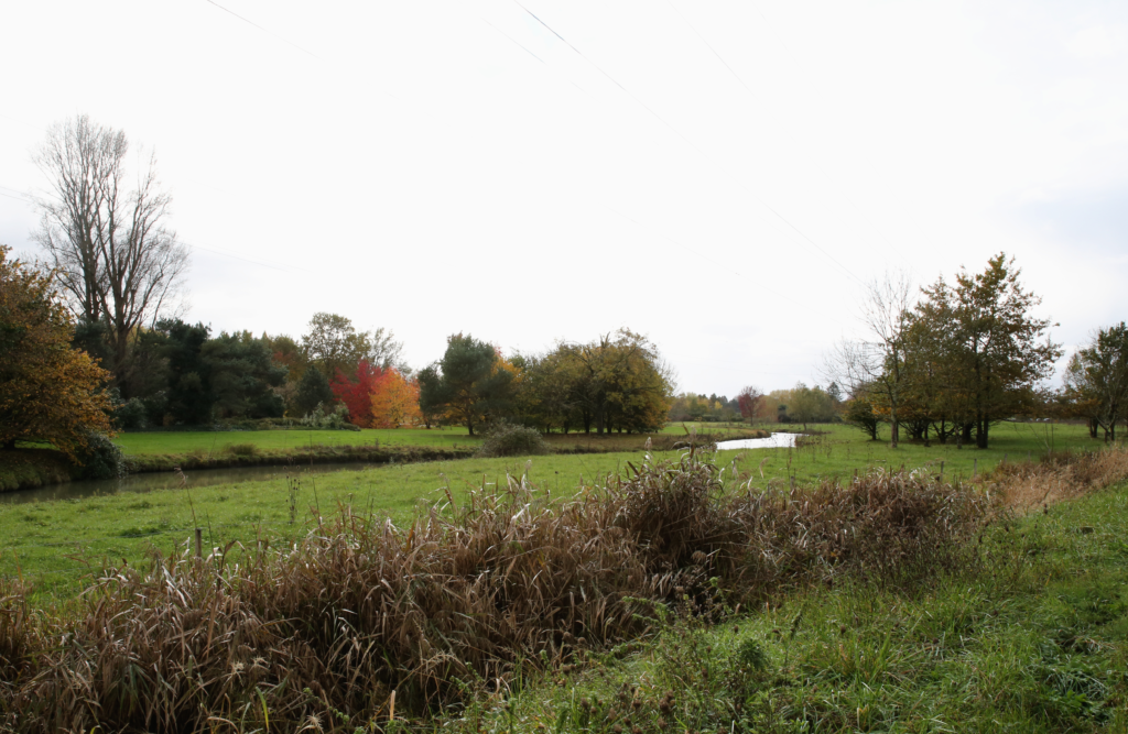 Parc floral de Bordeaux Lac