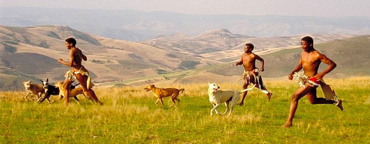 Quand la course à pied a-t-elle été inventée ? Origines, histoire et évolution