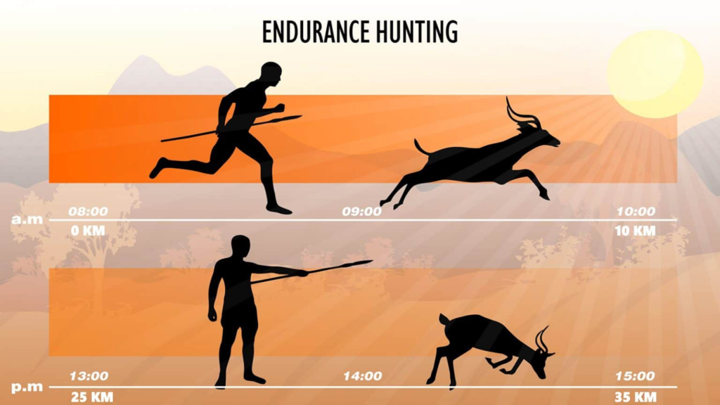 Schéma chasse à l'épuisement