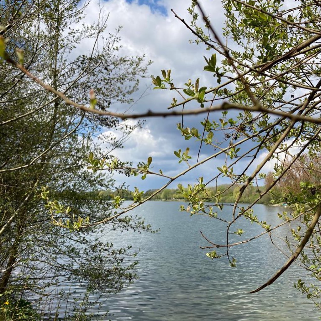 Lac du Héron (Villeneuve d'Ascq)