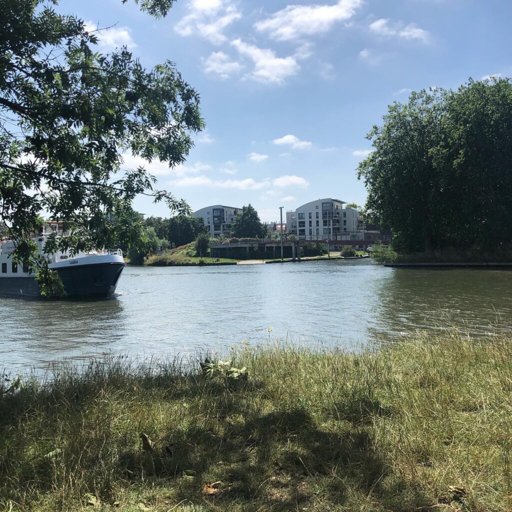 Deûle vue du bord
