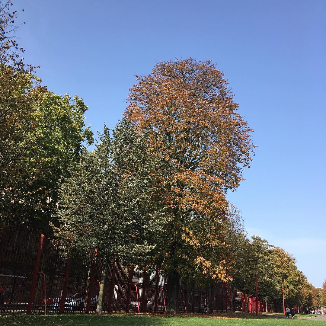 Parc Jean-Baptiste Lebas 