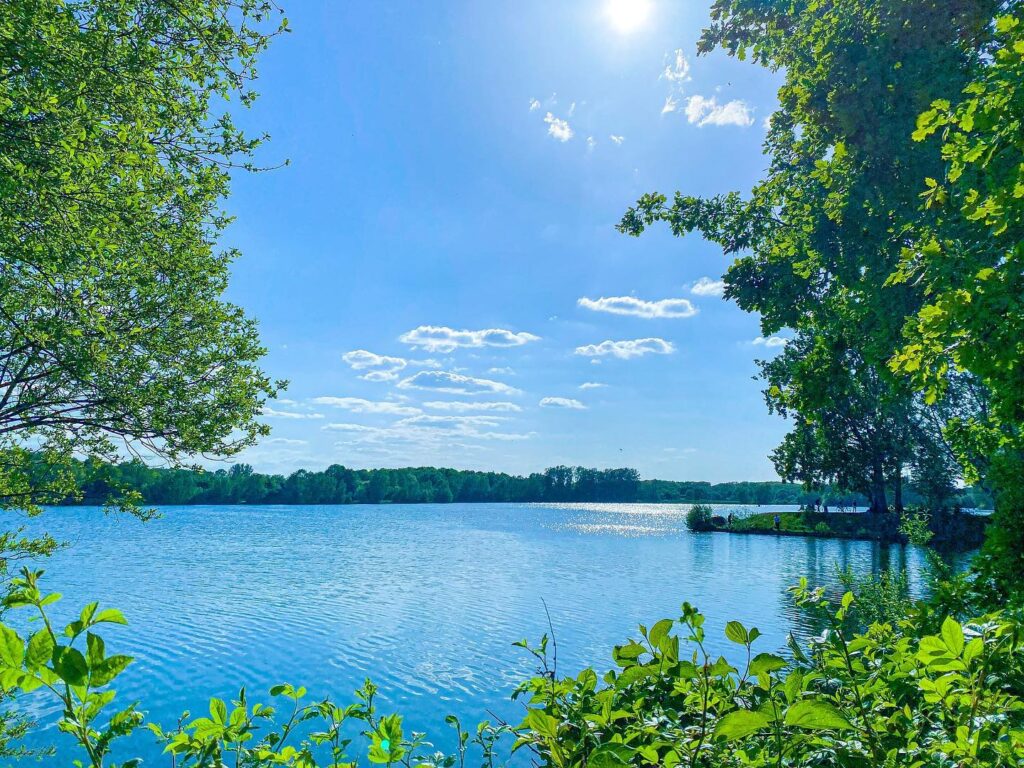 Lac du Héron (Villeneuve d'Ascq)