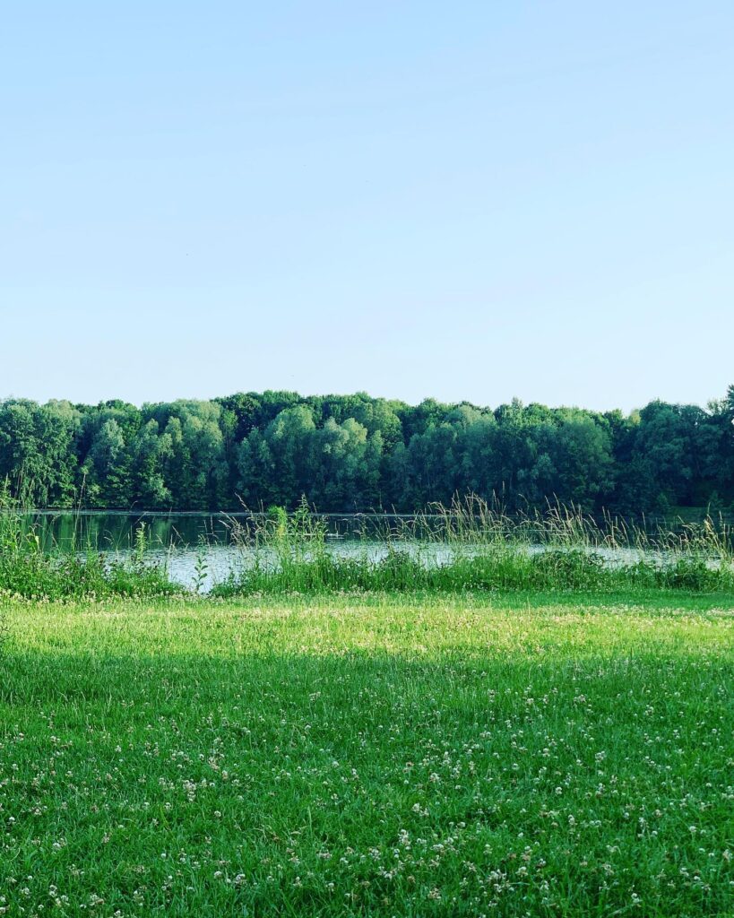 Lac du Héron (Villeneuve d'Ascq)