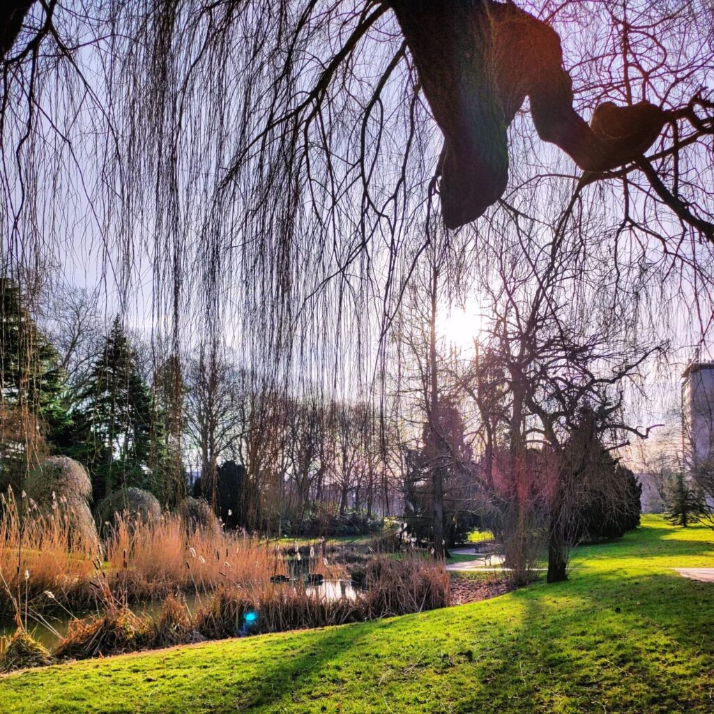 Parc Barbieux (Roubaix)