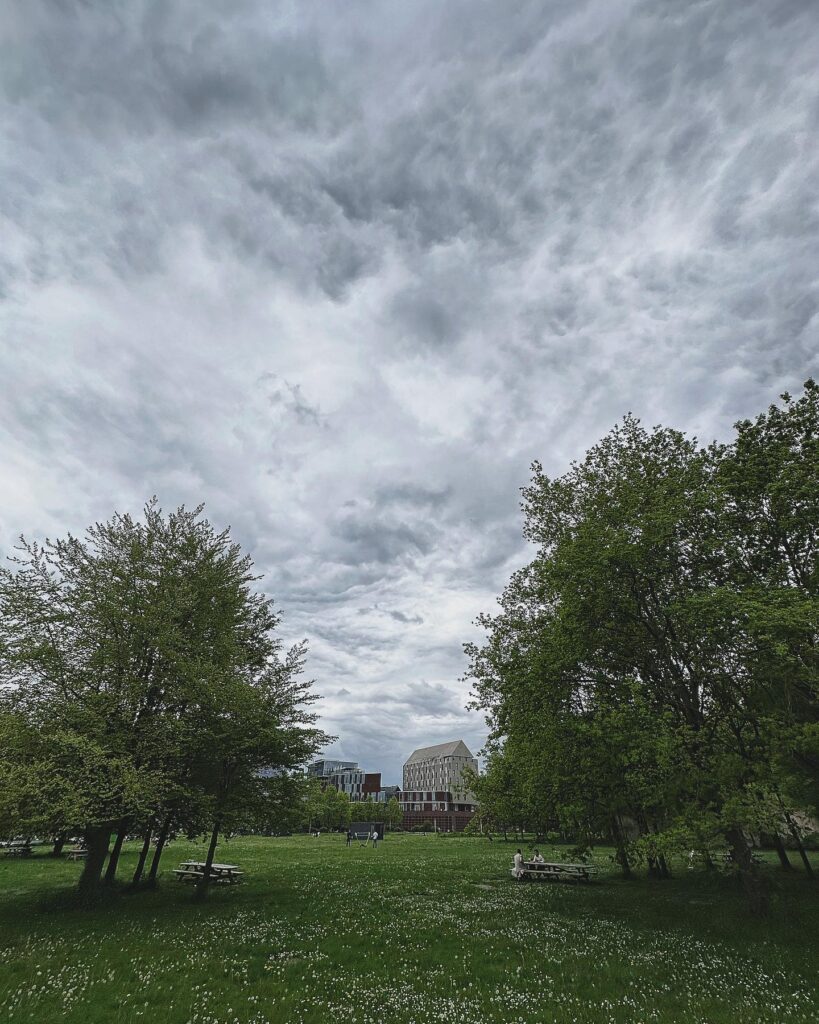 Parc Henri Matisse Lille