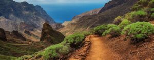 La légende Courtney Dauwalter remporte la Transgrancanaria avec brio