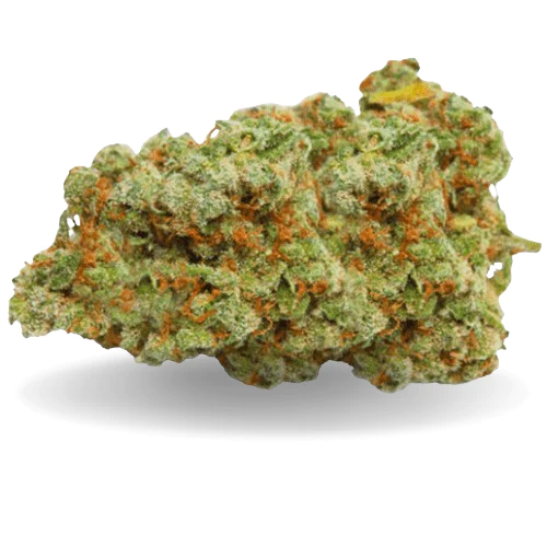 Fleur de CBD GIRL SCOOT COOKIES