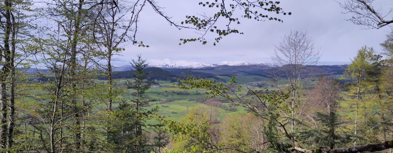 J’ai testé un stage de trail organisé par Trails in France en Auvergne !
