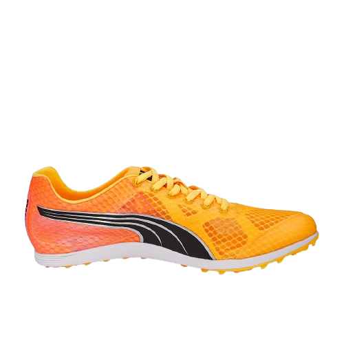 evoSPEED Crossfox 4